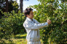 画像をギャラリービューアに読み込む, 希少なオーガニックの国産ライム。ここにしかない湘南プライムライムです