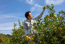 画像をギャラリービューアに読み込む, 唯一無二のオーガニックマイヤーレモン(レモンライム)