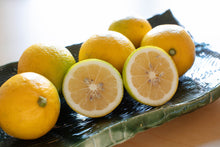 画像をギャラリービューアに読み込む, 唯一無二のオーガニックマイヤーレモン(レモンライム)
