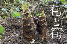 画像をギャラリービューアに読み込む, おいしいものを食べたいのは、人も猪も同じ。猪と競争しながら掘った筍の味は格別です