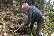 画像をギャラリービューアに読み込む, おいしいものを食べたいのは、人も猪も同じ。猪と競争しながら掘った筍の味は格別です