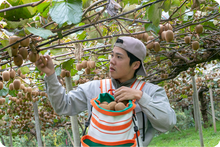 画像をギャラリービューアに読み込む, 自然農法35年。皮ごと食べられるキウイフルーツ。これがジャパン・クオリティー
